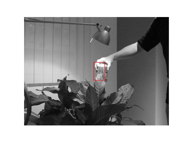 BFGS tracking box at frame 35, still roughly on target