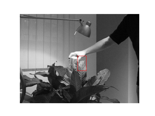 BFGS tracking box at frame 40, drifted off the target onto a leaf