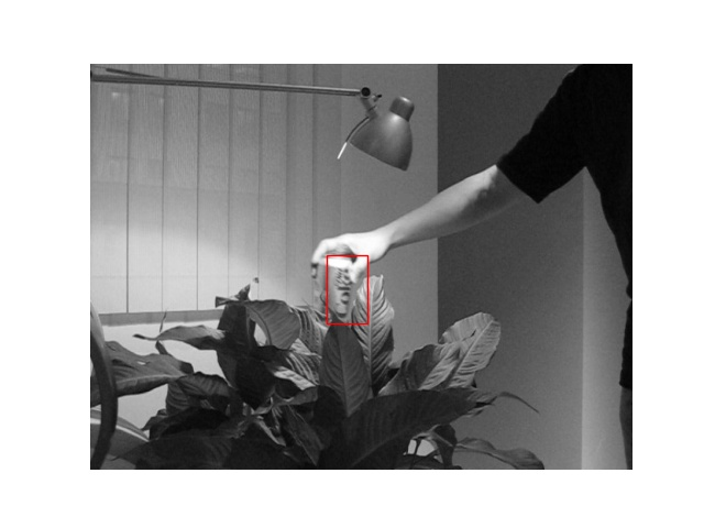 Levenberg-Marquardt still tracking the object at frame 40